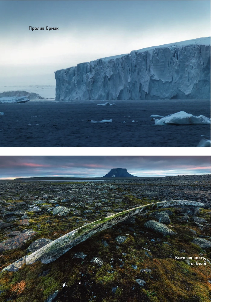 The Arctic Ocean. Franz Josef Land