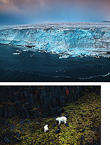The Arctic Ocean. Franz Josef Land