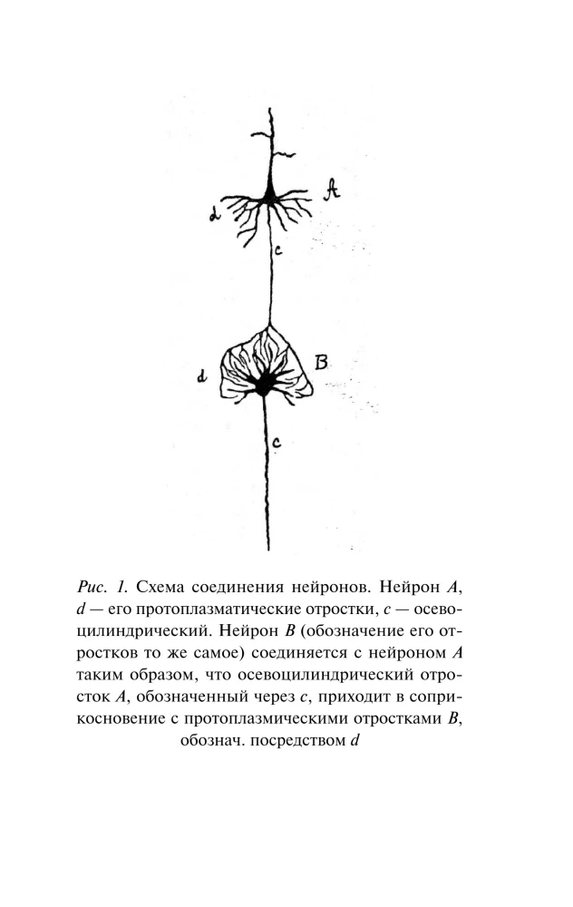 Guide to Memory and Mnemonics