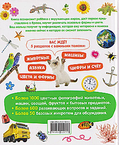 The First Book for the Little One. Encyclopedia. 1000 Pictures