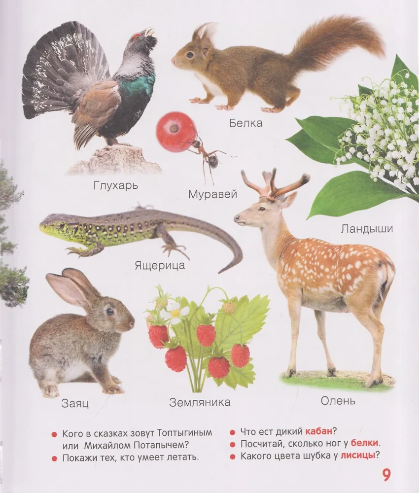The First Book for the Little One. Encyclopedia. 1000 Pictures
