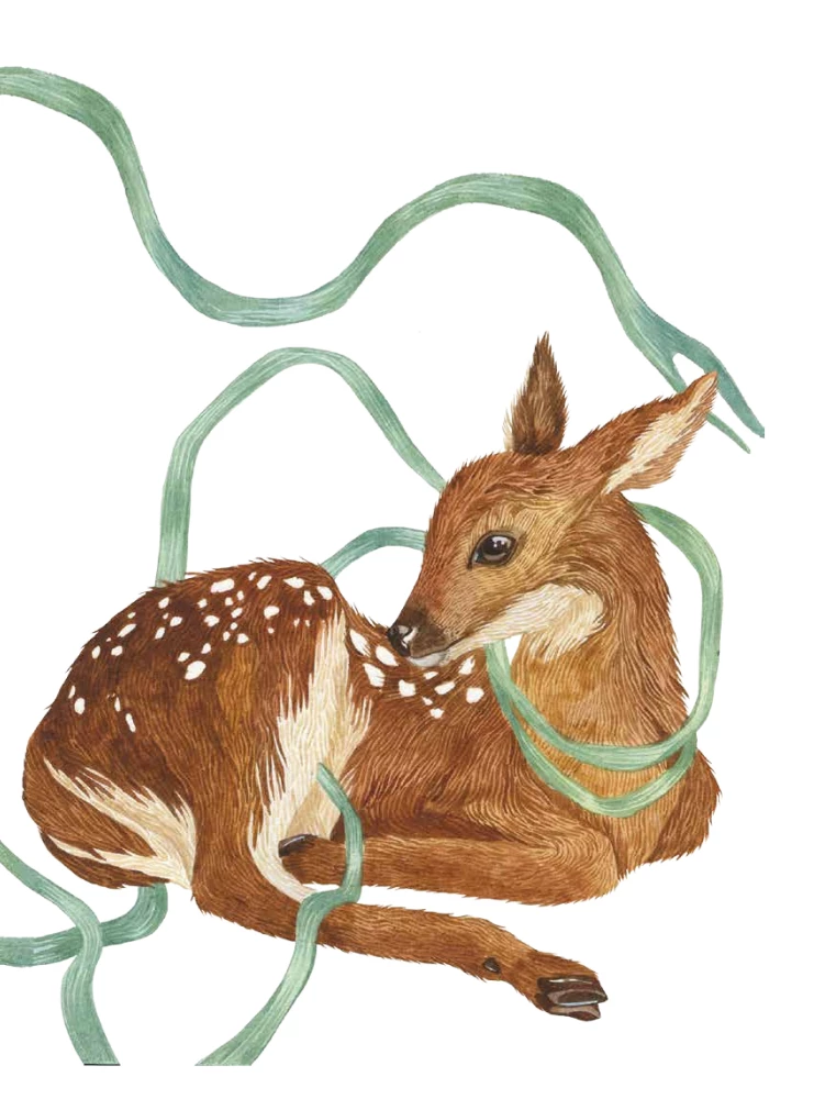 Die Werkstatt des Illustrators