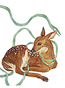 Die Werkstatt des Illustrators