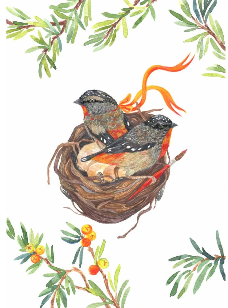 Die Werkstatt des Illustrators