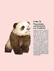 Piešime mielas gyvūnėlius! Žingsnis po žingsnio akvarelės vadovas pradedantiesiems