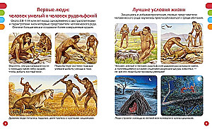 Secrets of the Primitive World