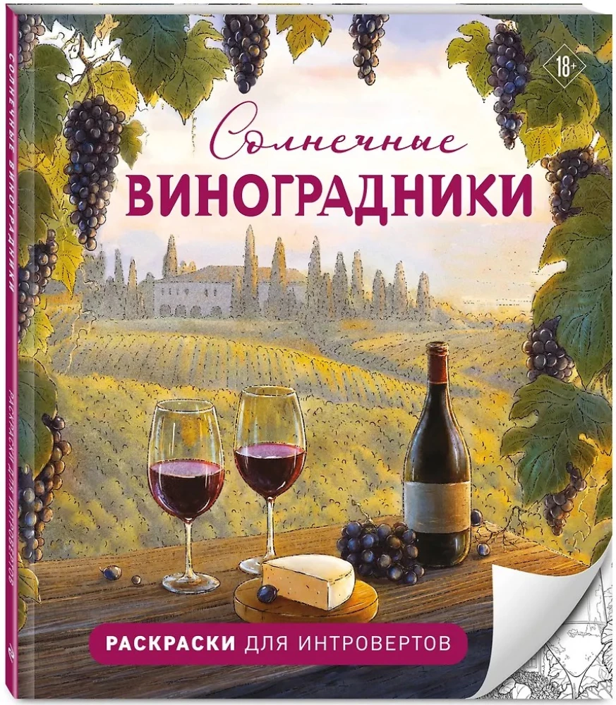 Sunny Vineyards. Coloring Books for Introverts