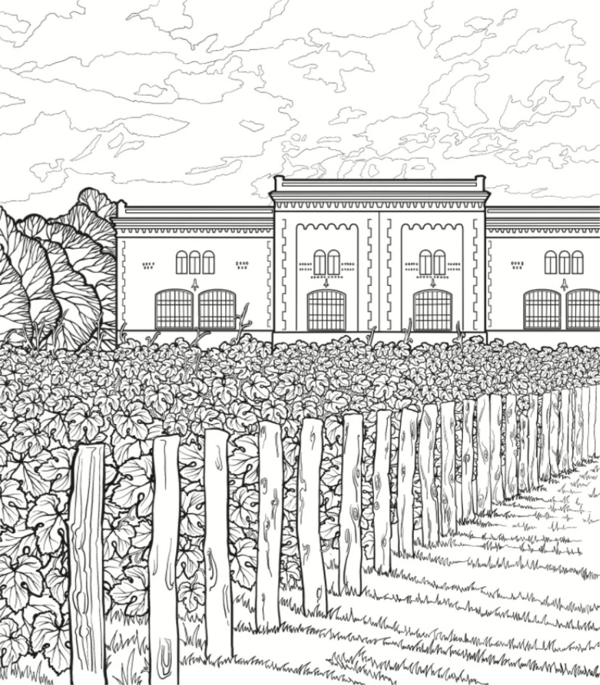 Sunny Vineyards. Coloring Books for Introverts