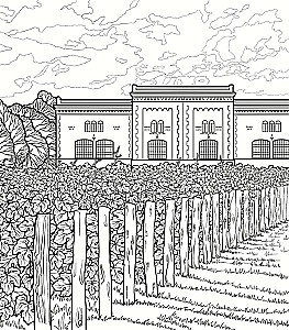Sunny Vineyards. Coloring Books for Introverts