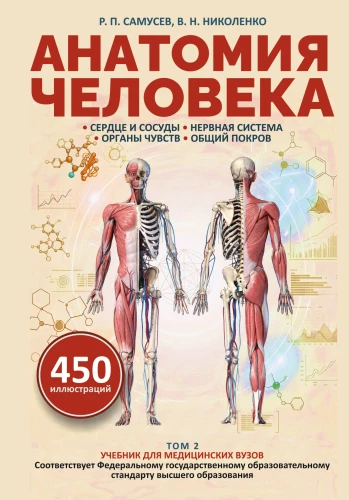 Anatomie des Menschen. Herz und Gefäße, Nervensystem, Sinnesorgane, allgemeine Hülle