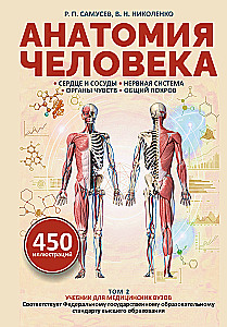 Anatomie des Menschen. Herz und Gefäße, Nervensystem, Sinnesorgane, allgemeine Hülle