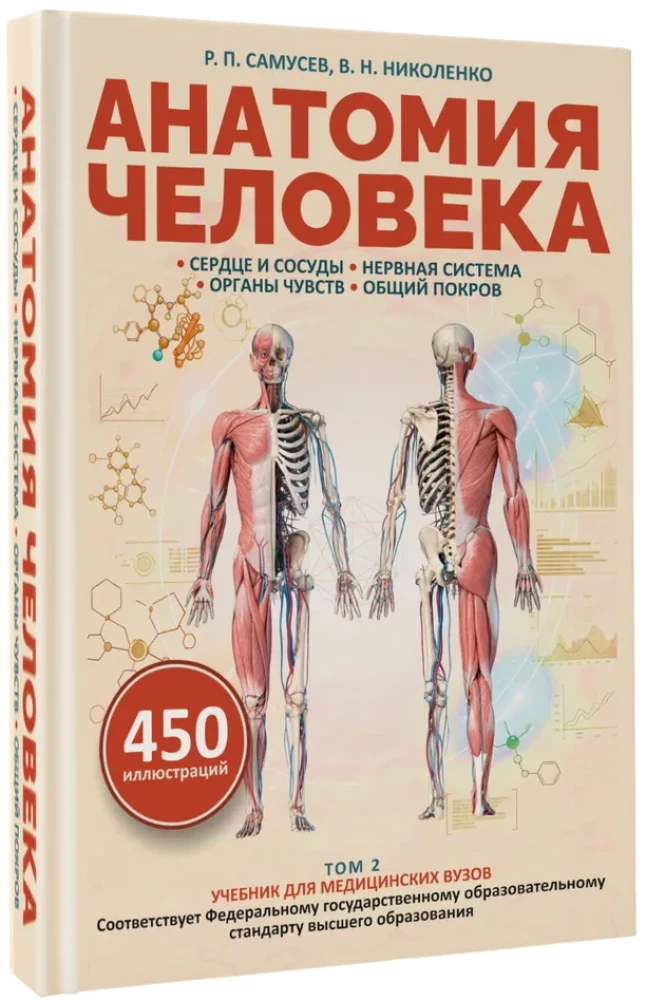Anatomie des Menschen. Herz und Gefäße, Nervensystem, Sinnesorgane, allgemeine Hülle