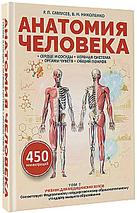 Anatomie des Menschen. Herz und Gefäße, Nervensystem, Sinnesorgane, allgemeine Hülle