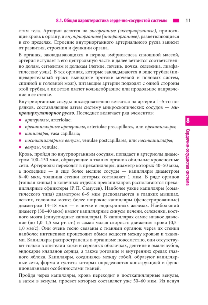 Anatomie des Menschen. Herz und Gefäße, Nervensystem, Sinnesorgane, allgemeine Hülle
