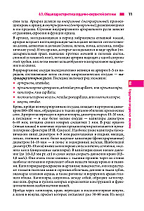 Anatomie des Menschen. Herz und Gefäße, Nervensystem, Sinnesorgane, allgemeine Hülle