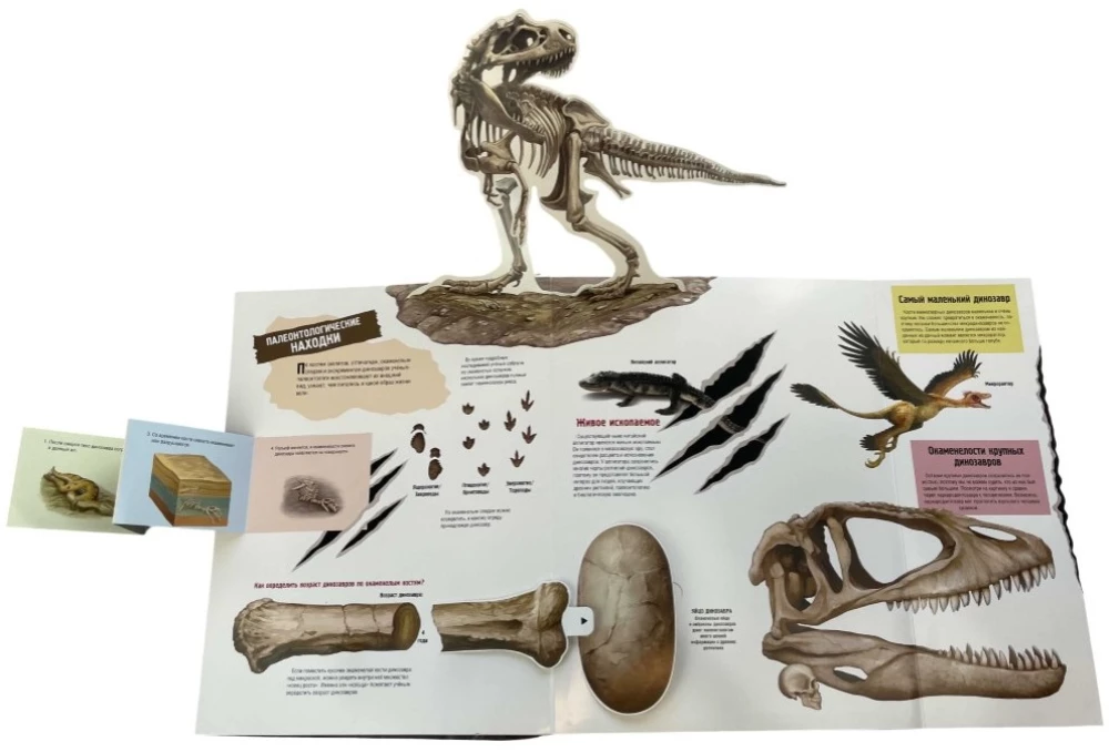Dinosaurs (The Book that Roars)