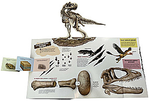 Dinosaurs (The Book that Roars)