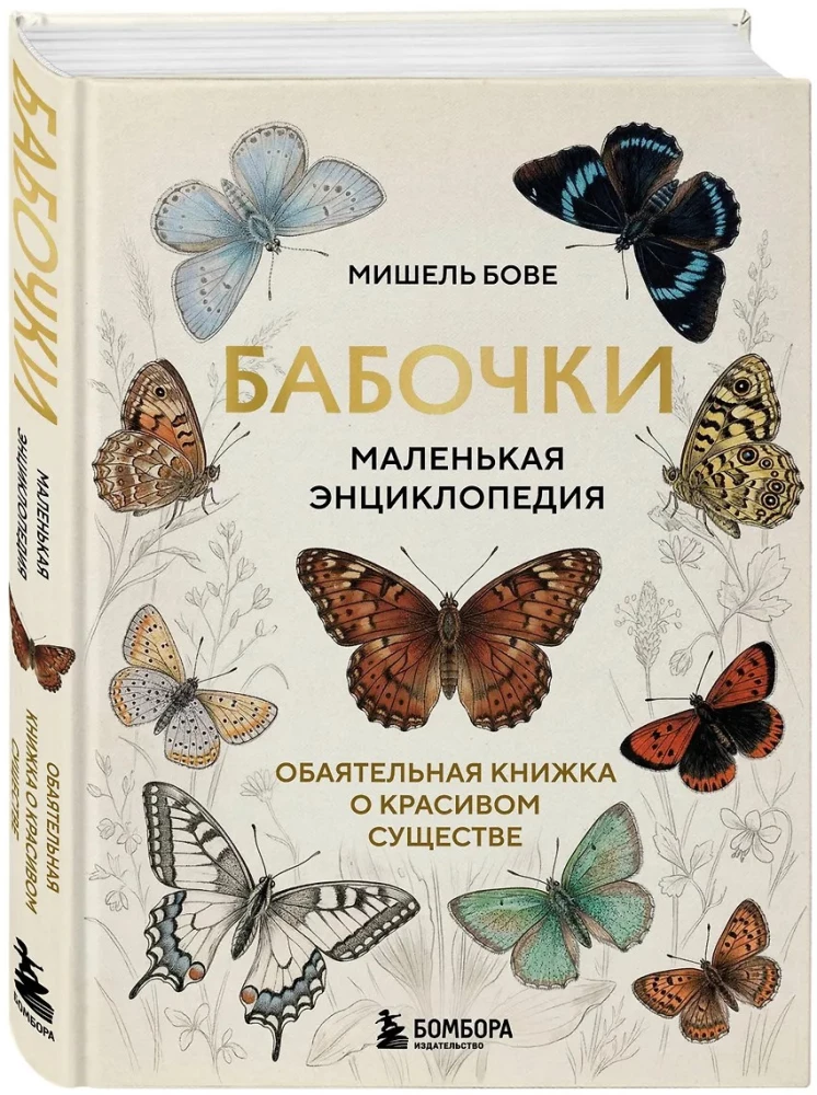 Butterflies! A Small Encyclopedia. A Charming Book About a Beautiful Creature