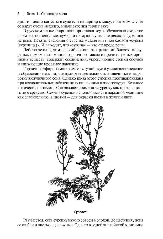 Robinson's Kitchen. Recipes from Wild and Decorative Plants