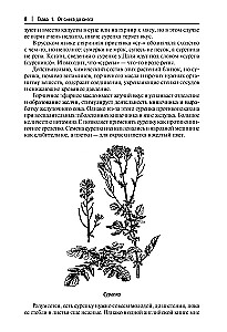 Robinson's Kitchen. Recipes from Wild and Decorative Plants