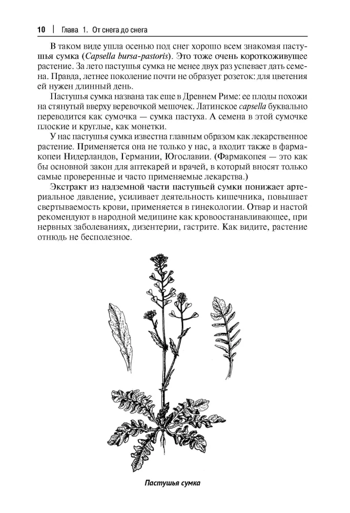 Robinson's Kitchen. Recipes from Wild and Decorative Plants