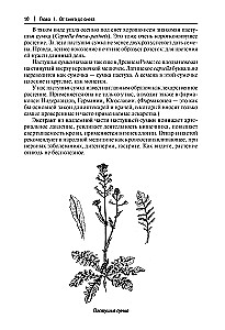 Robinson's Kitchen. Recipes from Wild and Decorative Plants