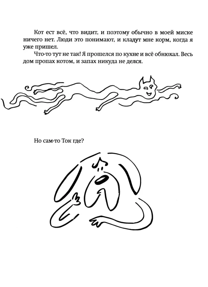 Where is the cat?!
