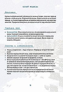 Minecraft. All Mobs and How to Defeat Them. Illustrated Guide for Beginners