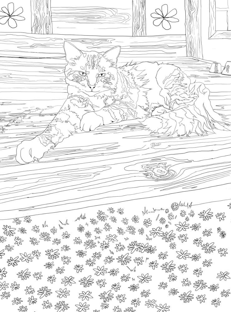 Coloring Book Cat Therapy. Cats That Soothe