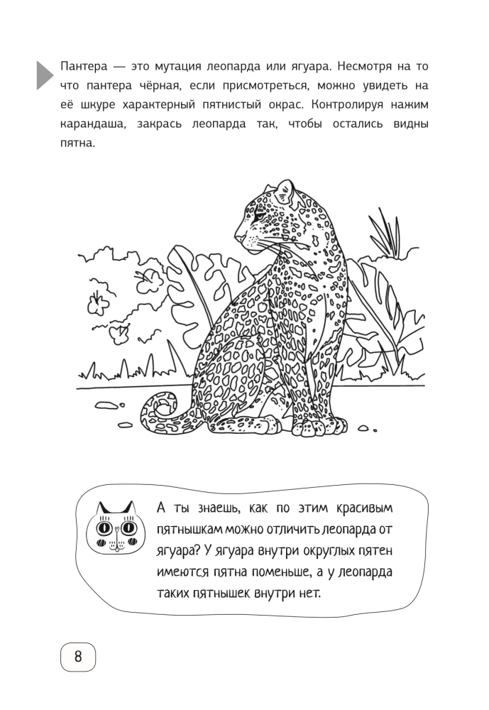 Neurocalligraphy for Orthographic Acuity. Exercises for the Development of Literacy and Improved Academic Performance from a Neuropsychologist. Primary School