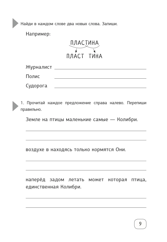 Neurocalligraphy for Orthographic Acuity. Exercises for the Development of Literacy and Improved Academic Performance from a Neuropsychologist. Primary School