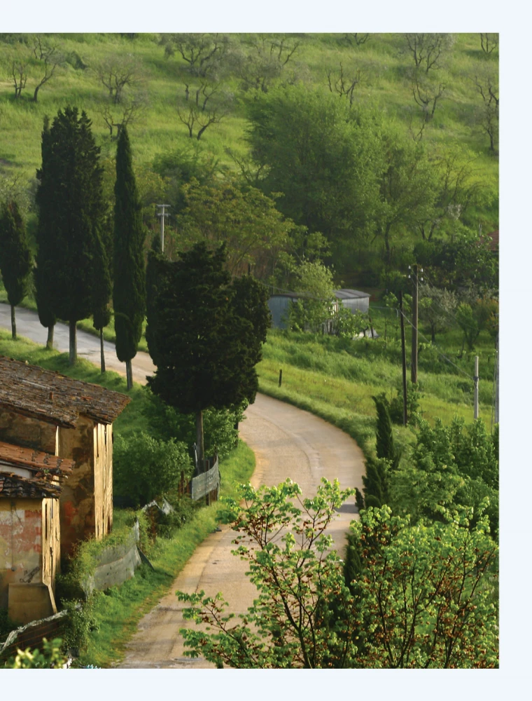 Ich will nach Italien! Die besten Gerichte aus der Toskana, Umbrien, Ligurien, Neapel und Rom