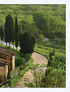 Ich will nach Italien! Die besten Gerichte aus der Toskana, Umbrien, Ligurien, Neapel und Rom