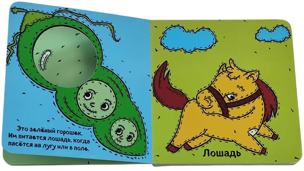 Kieno tai ausys?