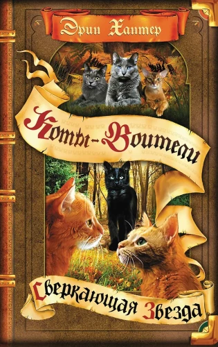 Katzenkrieger. Der Beginn der Clans. Funkelnder Stern