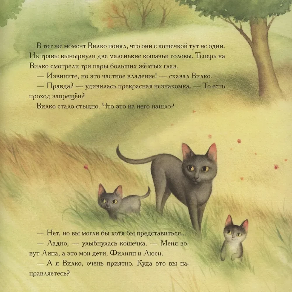 Vilko and His Family. Vilko and Azalia. How Vilko Fell in Love with Winter (set of 3 books)