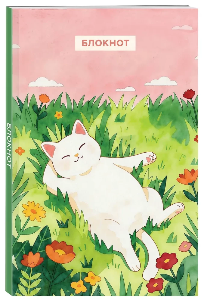 Notebook with a cat. Today without feats (A5)
