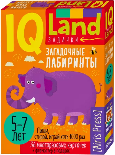 IQ Reusable Cards with a Marker. Mysterious Mazes