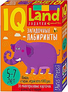 IQ Wielokrotne karty z markerem. Tajemnicze labirynty