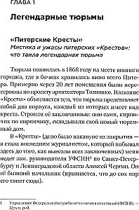Тайны кремлевского централа. Тесак Фургал и другие…