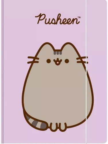 A4 aplankas su gumyte - Pusheen rožinė
