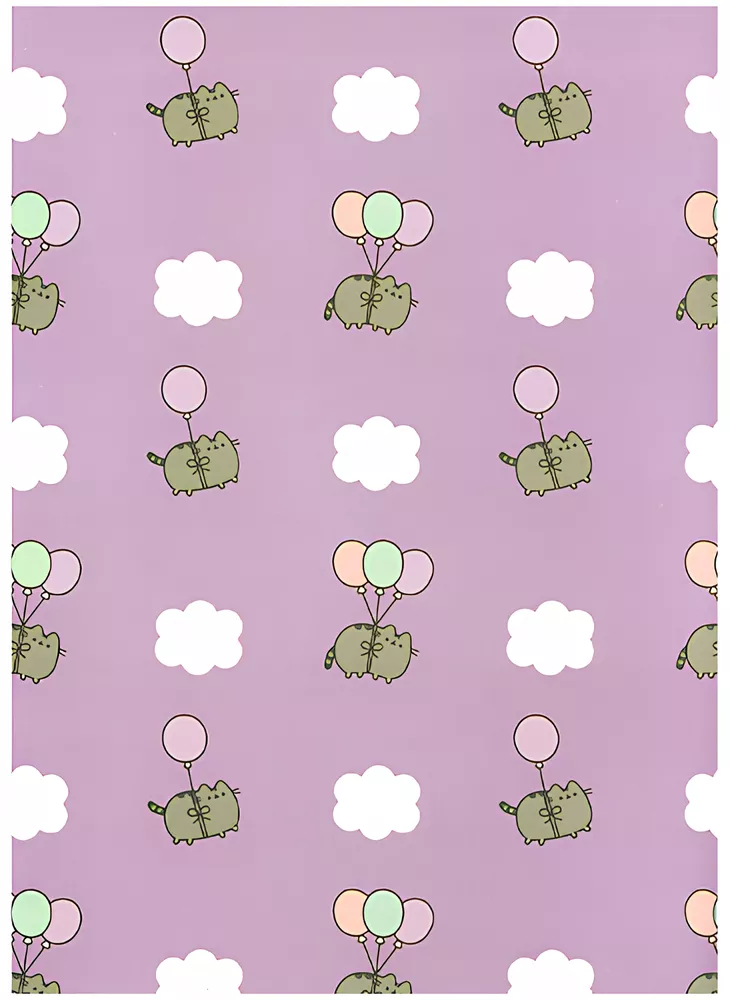 A4 aplankas su gumyte - Pusheen rožinė