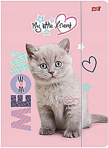 Папка А4 с резинкой - My Little Friend Fluffy Kitty