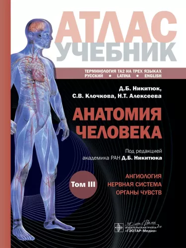 Human Anatomy. Atlas. Educational aid in 3 volumes. Volume III