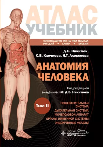 Human Anatomy. Atlas. Educational Guide in 3 Volumes. Volume II
