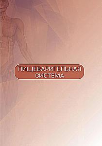 Human Anatomy. Atlas. Educational Guide in 3 Volumes. Volume II