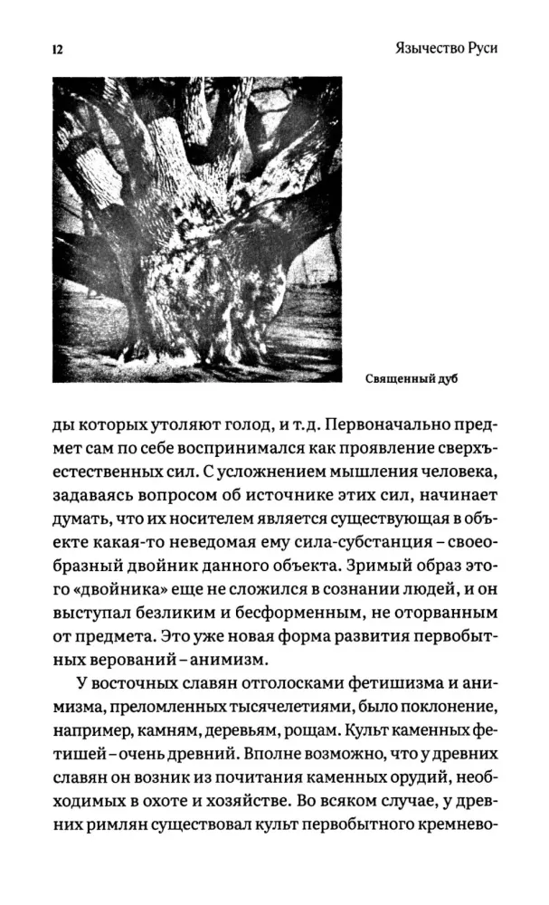 Pagan Rus. From Polytheism to Statehood