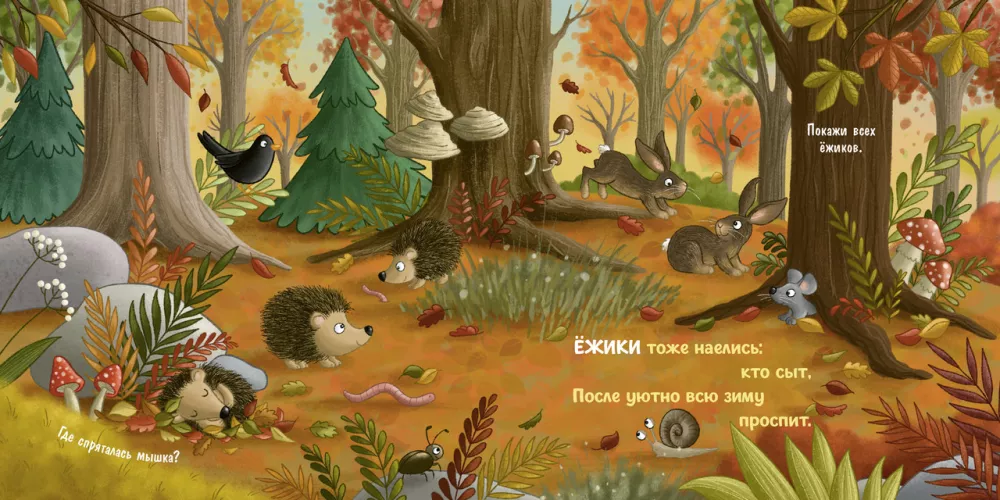 Autumn in the Forest