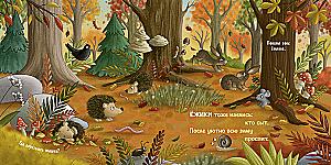 Autumn in the Forest