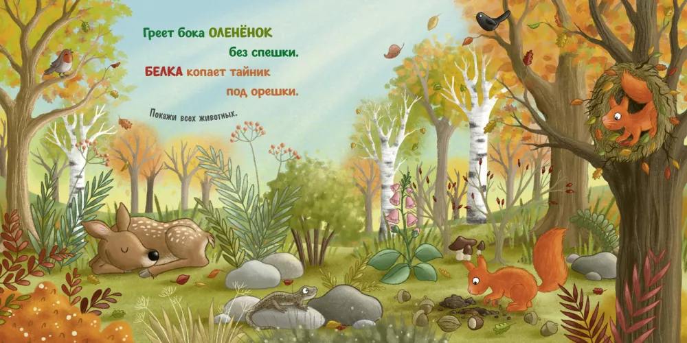 Autumn in the Forest